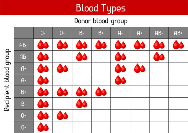 Blood Type