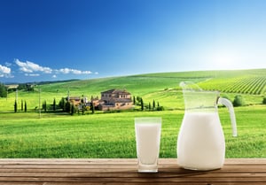milk and sunny spring field