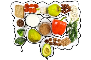 nutrition for gastro health