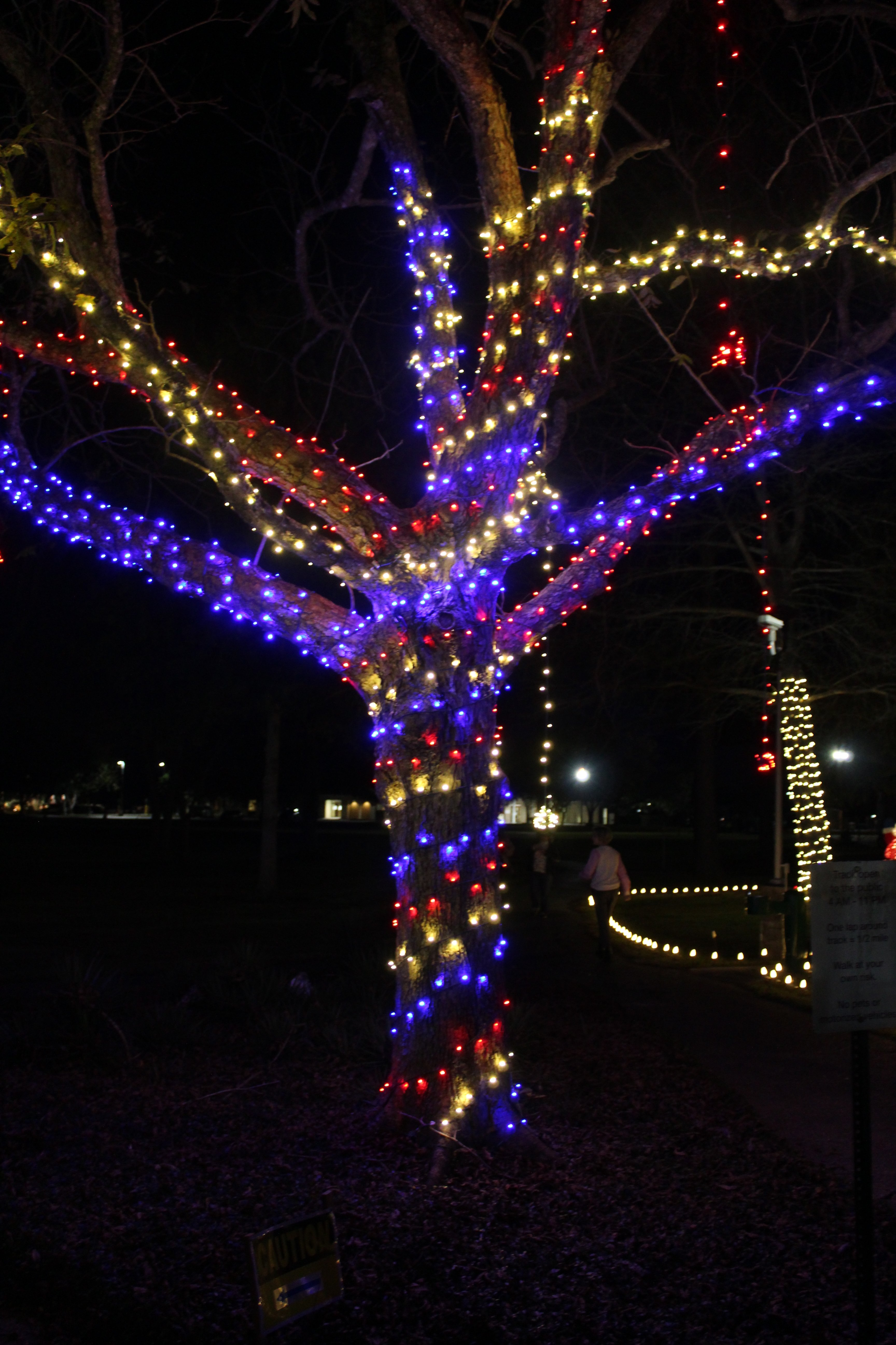 LANE FOUNDATION HOSTS ANNUAL LIGHTS AT LANE