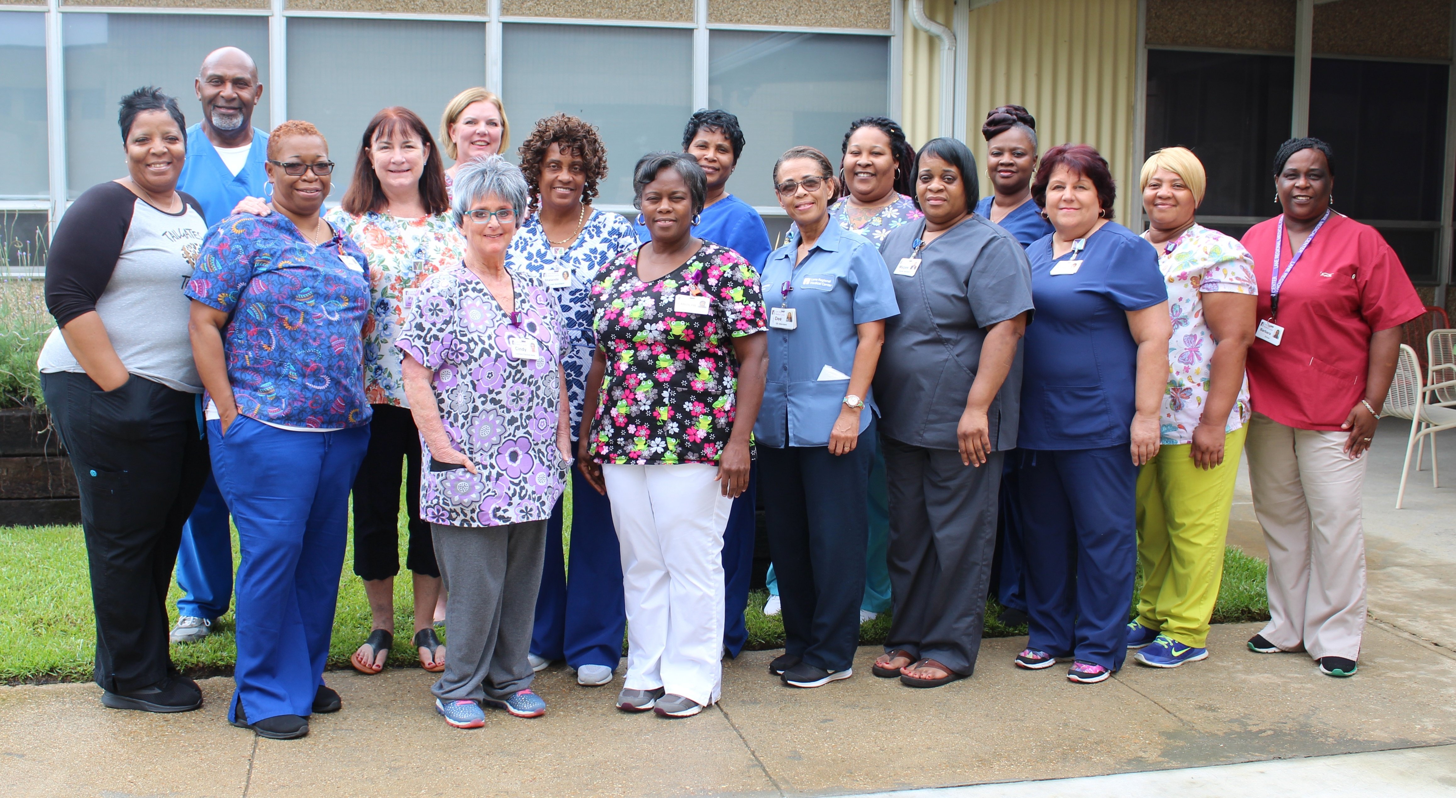 Nursing Home Staff.August 2018