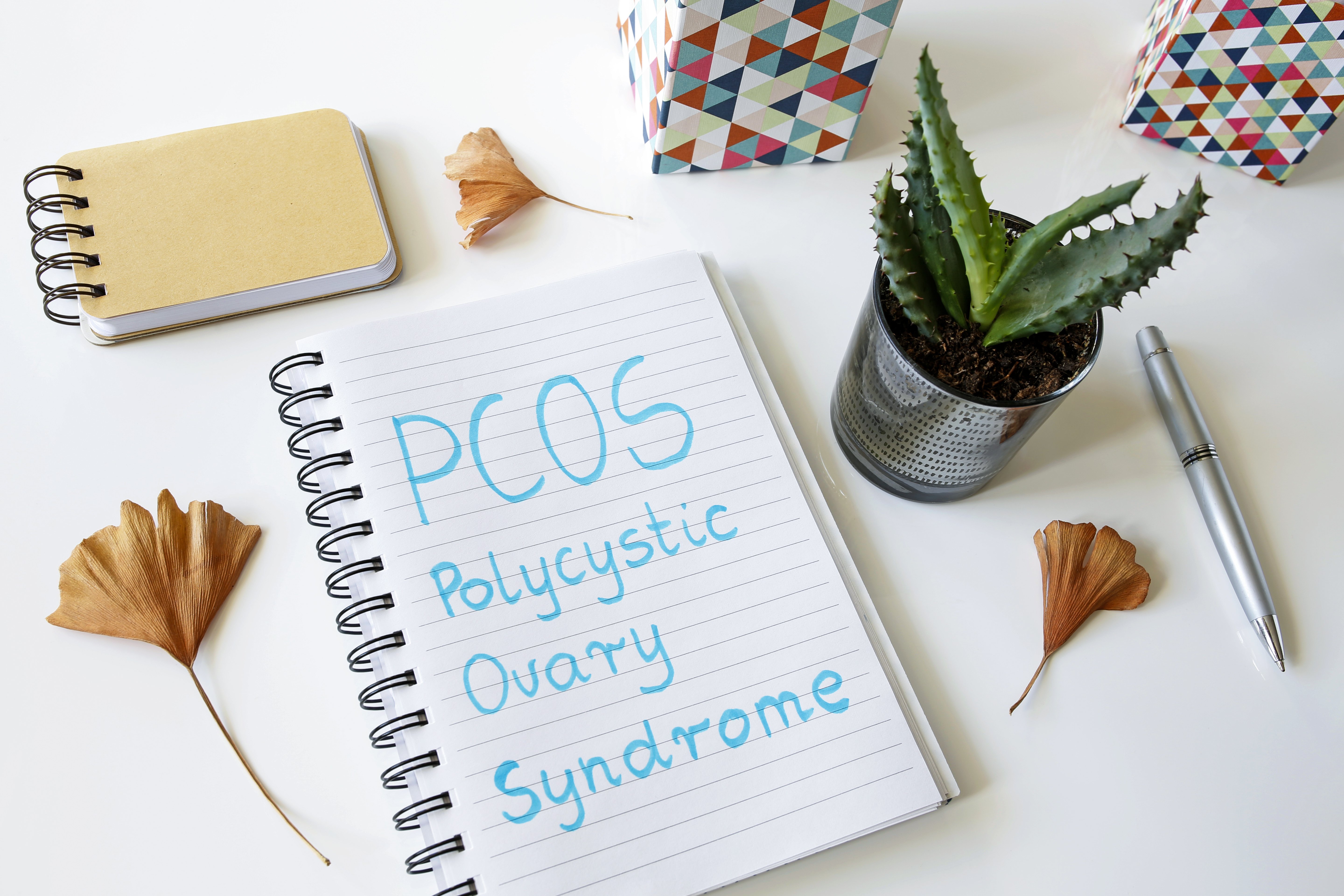 PCOS: What it is and How it can Impact Reproductive Health
