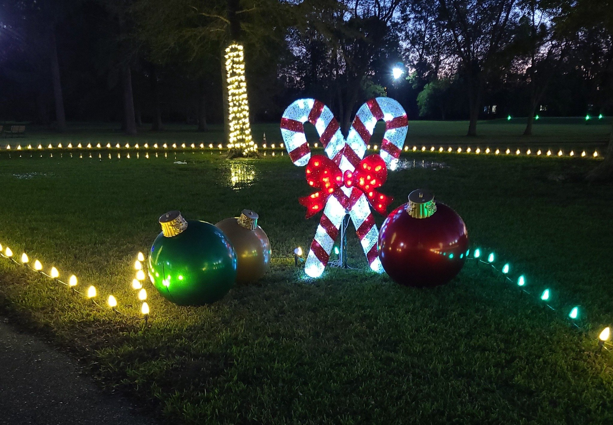 The Lane Foundation Invites the Community to “Holiday Lights at Lane”