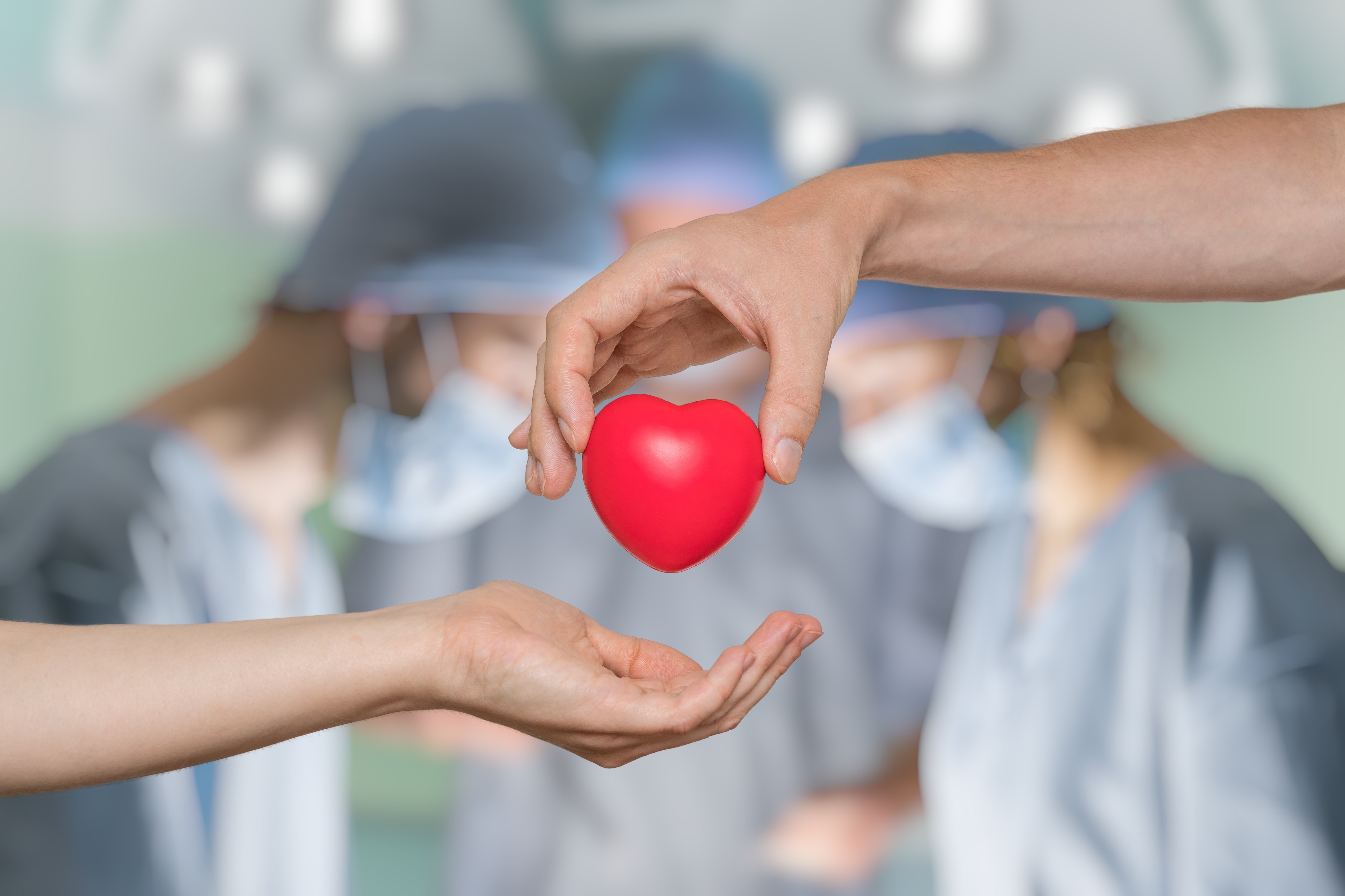 Here is Why You Should be an Organ Donor