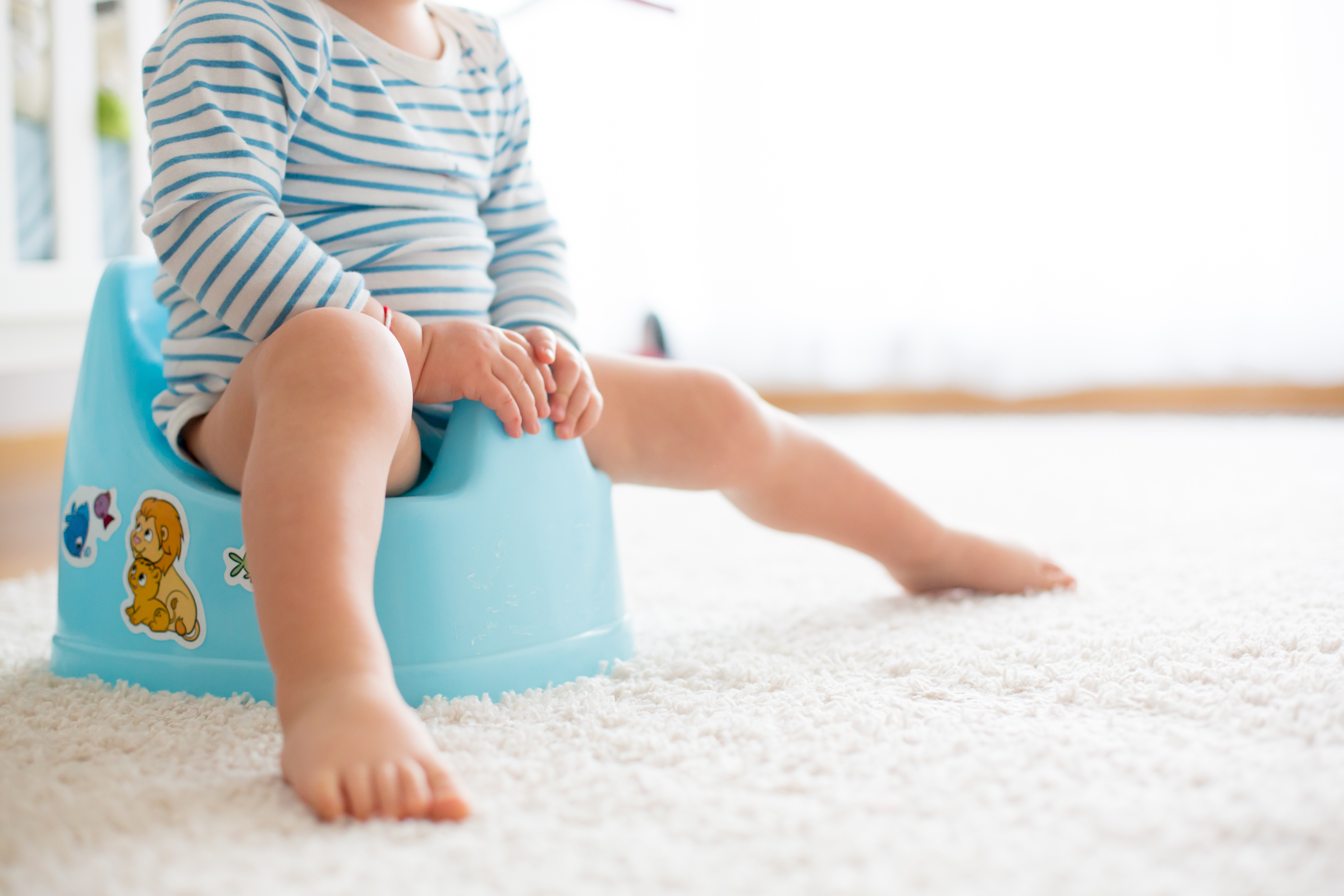 Potty Training 101: Tips and Tricks for Success